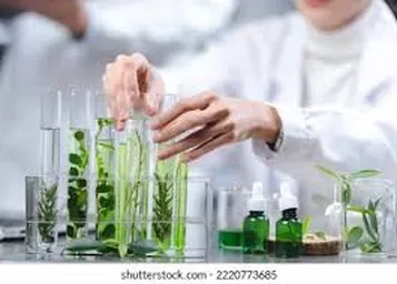 Plant Extract